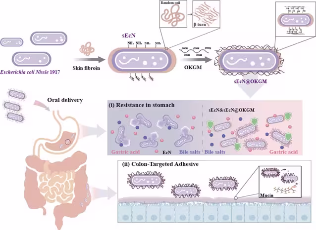 Graphical Abstract