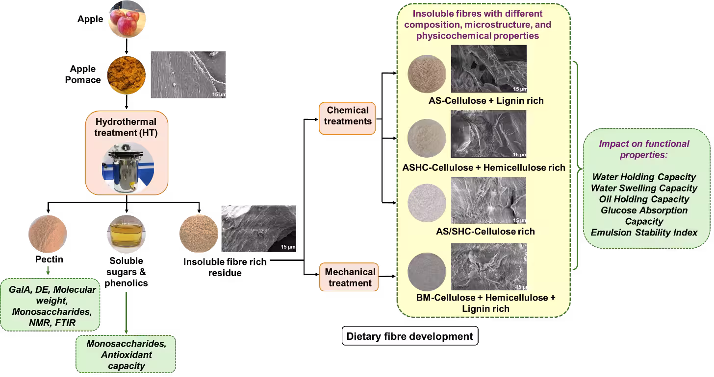 Hydrothermal-assisted co-recovery 